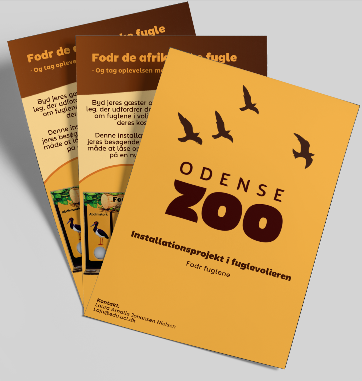 Zoo flyer